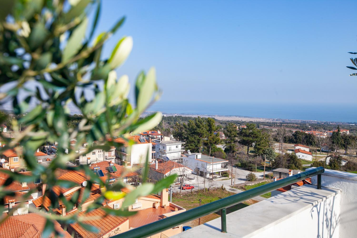 Rodon villa with sauna&private parking Litóchoron Esterno foto